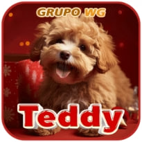 wgteddy.COM